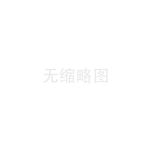 欧米茄2024新款手表表带